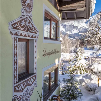 A charming house with an artistic mural and windows. In the background, snow-covered trees and a clear, blue winter landscape can be seen.