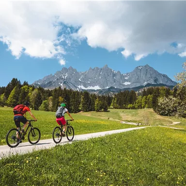 Zwei Radfahrer fahren auf einem Weg durch eine grüne Wiese. Im Hintergrund sind majestätische Berge mit schneebedeckten Spitzen und blaue Himmel zu sehen.