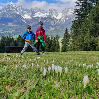 Two children are standing on a blooming meadow with snowdrops. In the background, majestic mountains and a clear blue sky are visible.