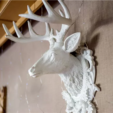 Ein weißer Hirschkopf, kunstvoll in Wandsockel eingebettet. Der Hirsch hat große, verzweigte Geweihe und steht vor einer neutralen Wand.
