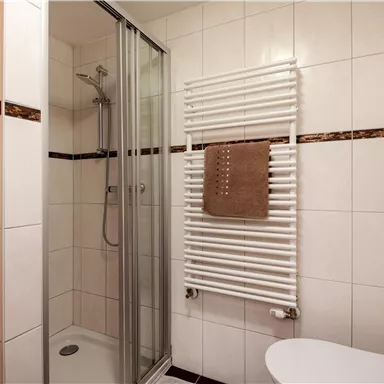 A modern bathroom with a shower and a towel warmer. The walls are tiled in light colors and there is a toilet in the corner.