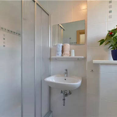 Ein modernes Badezimmer mit einer Glasdusche und einem kleinen Waschbecken. Auf der Ablage steht eine Pflanze und einige Handtücher.