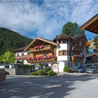 A picturesque alpine landscape with traditional wooden houses and blooming balcony plants. In the background, gentle hills and a blue sky can be seen.