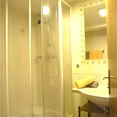 A small bathroom with a glass shower cabin. Next to the sink is an open shelf with towels.