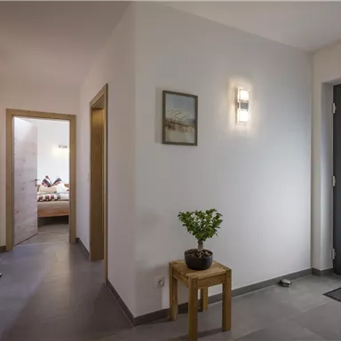 A bright hallway with a modern entrance door and a small table with a plant. In the background, more rooms can be seen.