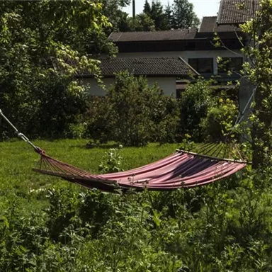 A hammock hangs between two trees in a green garden. The background shows some houses and lush plants.