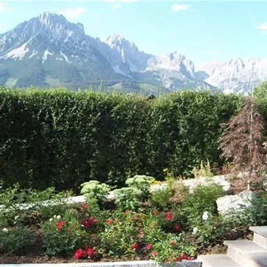 Ein Garten mit bunten Blumen und einem wunderschönen Blick auf die Berge. Das Gras ist grün und die Landschaft wirkt friedlich.
