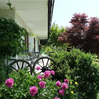 Ein idyllischer Außenbereich mit Blumen und grünen Sträuchern. Im Hintergrund sind ein paar Stühle und ein Baum zu sehen.