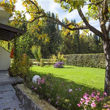 Ein schöner Garten mit bunten Blumen und einem gepflegten Rasen. Im Hintergrund sind hohe Bäume und eine Hecke zu sehen.