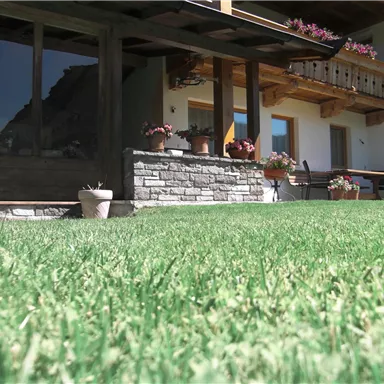 Ein schön gepflegter Garten mit grünem Rasen und Blumen in Töpfen. Im Hintergrund ist ein Holzhaus mit großen Fenstern zu sehen.