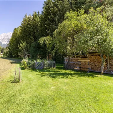 Ein ruhiger Garten mit grünem Rasen und Bäumen. Im Hintergrund sind Holzstapel und Berge sichtbar.
