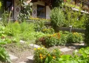 Ein bunter Garten mit verschiedenen Pflanzen und Blumen. Im Hintergrund ist ein traditionelles Haus zu sehen, das von grünen Pflanzen umgeben ist.