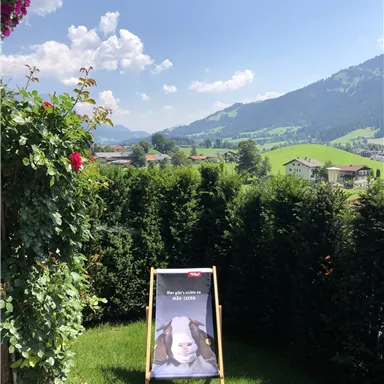 A beautiful view of green hills and mountains under a blue sky. In the foreground is a sign displaying advertising.