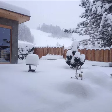 Eine verschneite Landschaft mit einer Holzhütte und schneebedeckten Bäumen. Der Schnee liegt dick auf dem Boden und bedeckt die Gartenmöbel.