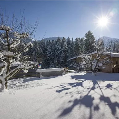 A snowy winter landscape with a tree in the foreground. The sun shines brightly over the mountains and the snow-covered ground.