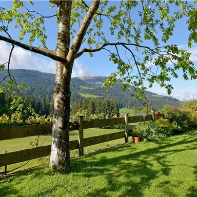 Eine grüne Wiese mit einem Baum und einem Holzzaun. Im Hintergrund sind hügelige Landschaften und ein blauer Himmel zu sehen.