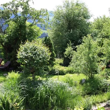 Ein schöner Garten mit üppigem Grün und Bäumen. Im Hintergrund sind Berge zu sehen und eine gemütliche Liege lädt zum Entspannen ein.