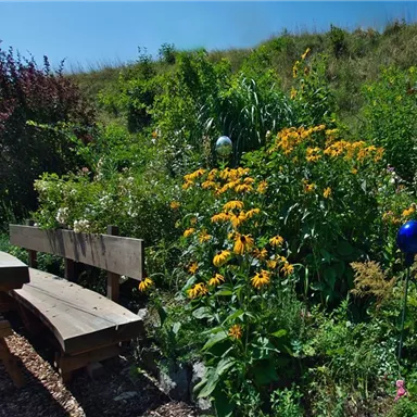 A blooming garden with colorful flowers and green vegetables. In the foreground, there is a wooden bench and a wooden board.