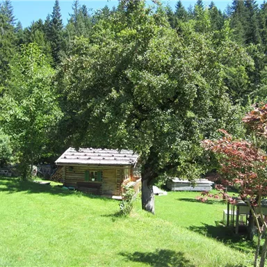 A cozy wooden house stands in a green meadow, surrounded by trees. The surroundings are sunny and inviting.