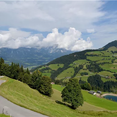 A picturesque landscape with gentle hills and green meadows. In the background, majestic mountains and a clear blue sky can be seen.