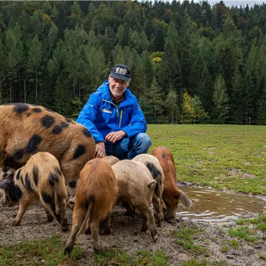 A man is sitting on a meadow, feeding a pig and its piglets. In the background, trees and a peaceful landscape can be seen.