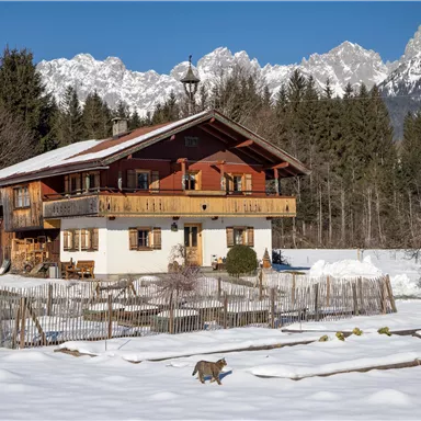 Ein charmantes Haus im Schnee mit Bergen im Hintergrund. Ein kleines Tier läuft im Vordergrund vorbei.