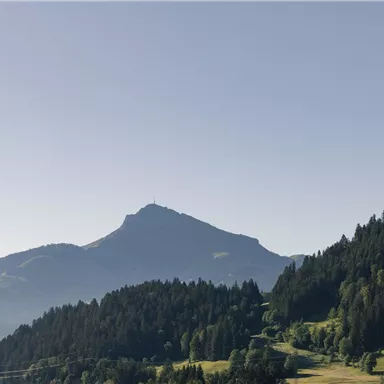 Ein hoher Berg mit einer Spitze und einem klaren Himmel. Im Vordergrund gibt es dichte Wälder und saftige Wiesen.