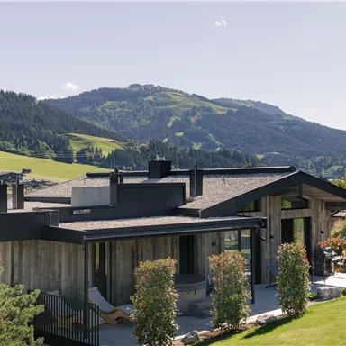 A modern house set in a green landscape with mountains in the background. The architecture combines wood and glass design.