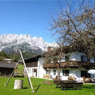Ein charmantes Bauernhaus umgeben von grünen Wiesen und majestätischen Bergen. Der Himmel ist klar und die Landschaft wirkt einladend.