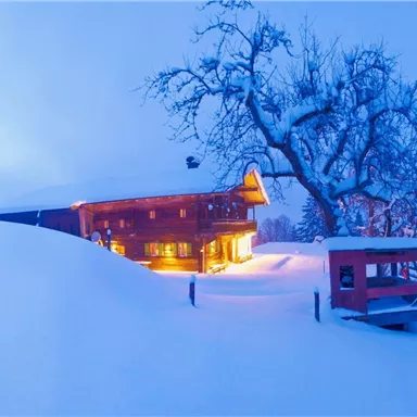A beautiful house in the snow, illuminated by warm light.
Surrounded by a peaceful winter landscape with snow-covered trees.