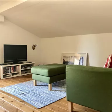 Ein gemütlicher Wohnraum mit einem grünen Sofa und einem Hocker. Ein Fernseher und eine dekorative Statue sind ebenfalls sichtbar.