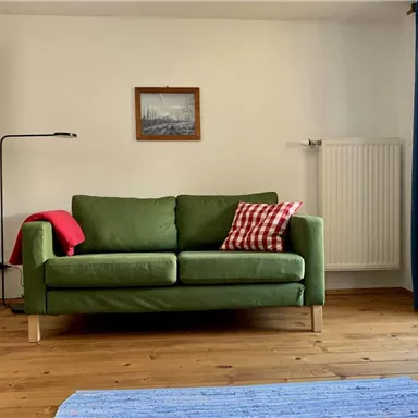 Ein gemütliches Wohnzimmer mit einem grünen Sofa und bunten Kissen. Der Boden ist aus Holz und ein Fenster lässt viel Licht herein.