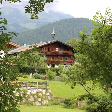 Ein traditionelles alpenländisches Haus umgeben von grünen Bäumen und Bergen. Die Landschaft ist ruhig und einladend.