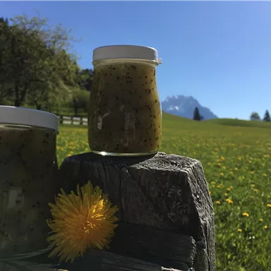 Zwei Gläser mit einer grünen Mischung stehen auf einem Holzbrett. Im Hintergrund erstreckt sich eine blühende Wiese unter klarem Himmel und Bergen.