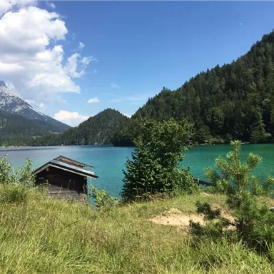 Ein klarer See umgeben von grünen Wäldern und Bergen. Im Vordergrund steht eine kleine Holzhütte.