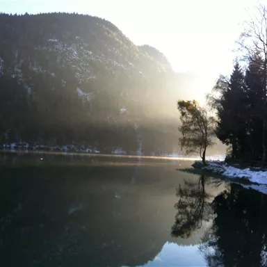 Ein ruhiger See umgeben von Bergen und Bäumen. Der Morgennebel sorgt für eine mystische Atmosphäre.