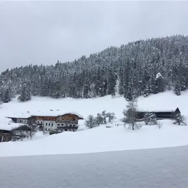 A snowy landscape with houses and snow-covered trees. The sky is gray and overcast.