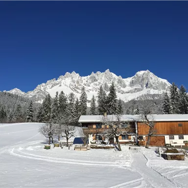 Eine malerische Winterlandschaft mit einem Holzhaus und schneebedeckten Bergen im Hintergrund. Der strahlend blaue Himmel sorgt für eine friedliche Atmosphäre.