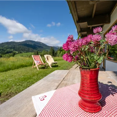 Ein roter Blumentopf mit lila Blumen steht auf einem Tisch. Im Hintergrund sind grüne Wiesen und Berge unter einem blauen Himmel zu sehen.