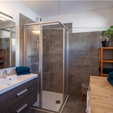 A modern bathroom with a glass shower and a sink. On the wooden shelf, there are plants and towels.
