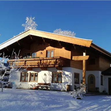 Ein wunderschönes Holzhaus im Alpin-Stil, umgeben von schneebedeckten Bäumen. Der klare blaue Himmel verleiht der Szenerie eine friedliche Atmosphäre.