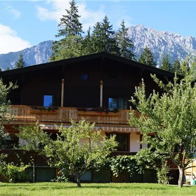 Ein schönes Holzhaus umgeben von Bäumen und einer malerischen Berglandschaft. Der Himmel ist klar und sonnig.