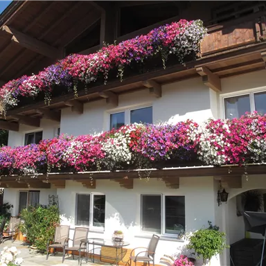 A cozy house with blooming balconies in vibrant colors. The garden is well-maintained and inviting.