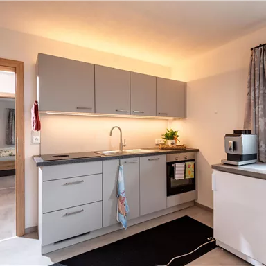 Küche mit Induktionsherd und Geschirrspüler im Appartement "Resi"