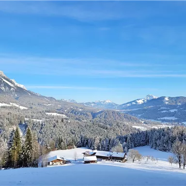 Eine winterliche Berglandschaft mit schneebedeckten Bäumen und Hütten. Der klare blaue Himmel ergänzt die idyllische Atmosphäre.