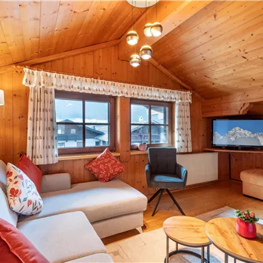 A cozy living room with wood paneling and daylight. The furnishing includes a sofa, a television, and a small coffee table.