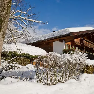 Ein wunderschönes Chalet im Winter mit schneebedecktem Dach und Bäumen. Der klare blaue Himmel verleiht der Szene eine friedliche Atmosphäre.
