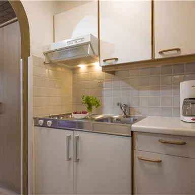 Eine kleine, gut ausgestattete Küche mit einem Spülbecken, einem Wasserkocher und einer Pflanze auf der Arbeitsfläche. Der Raum hat helle Wände und Schränke aus Holz.