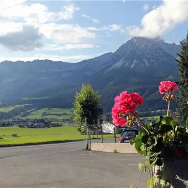 Eine malerische Aussicht auf grüne Felder und majestätische Berge. Im Vordergrund blühen rote Geranien.