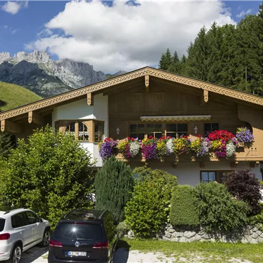 A pretty chalet surrounded by trees and colorful flowers. In the background, majestic mountains can be seen under a blue sky.